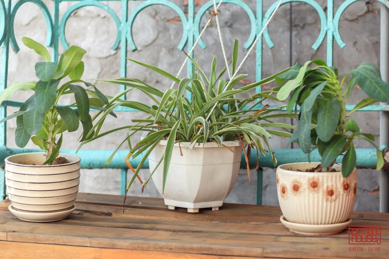 Harmony Homestay - Hanoi Homestay In Old Quarter Kültér fotó